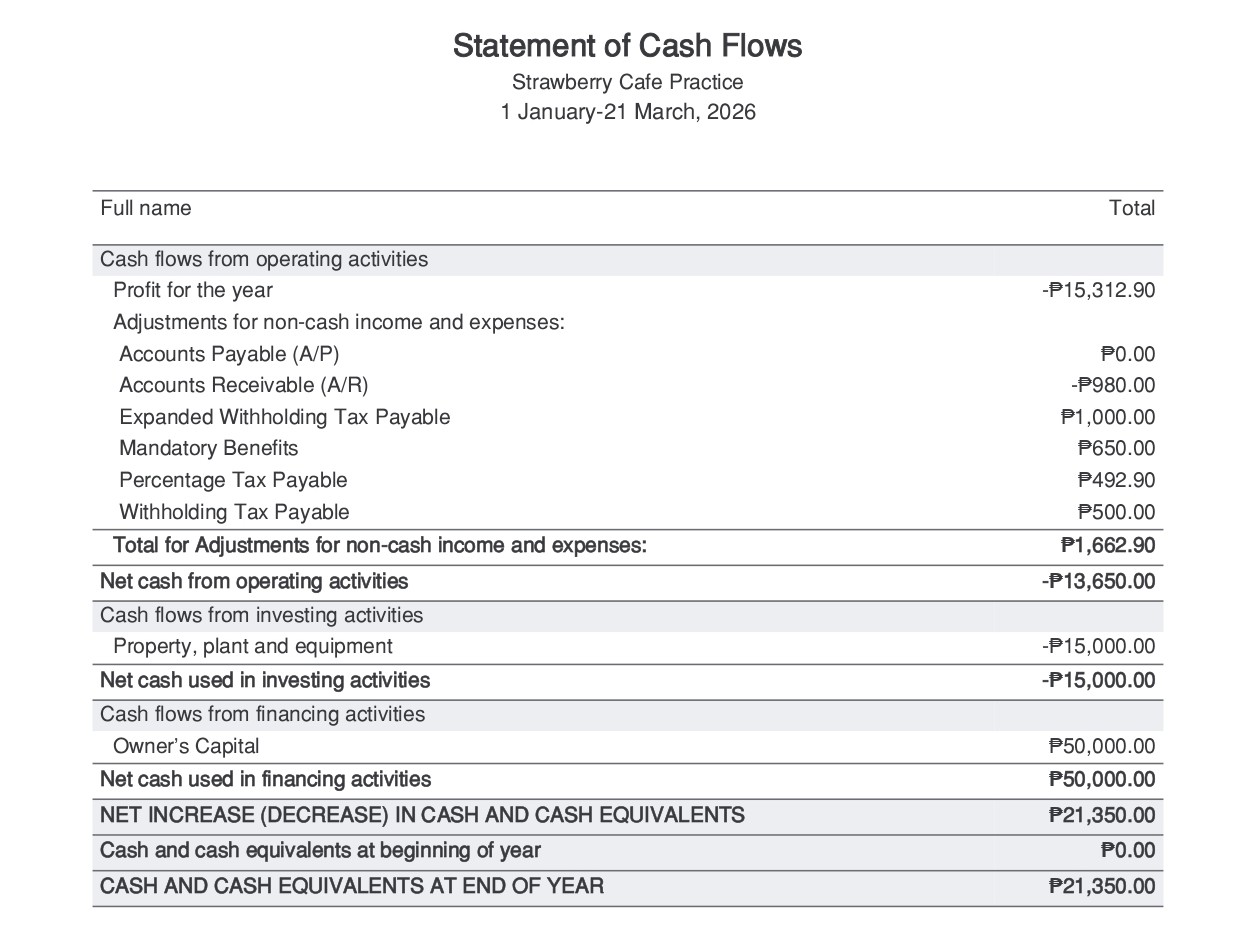 Cash Flow Statement